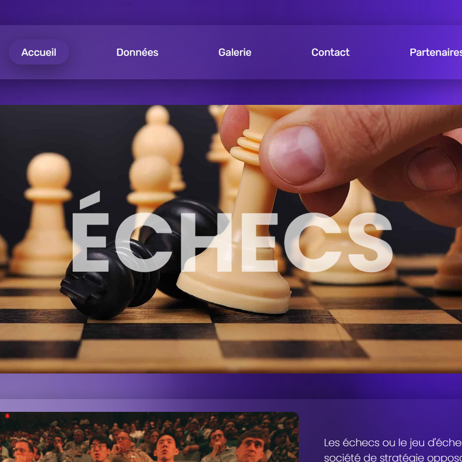 screenshot du site web